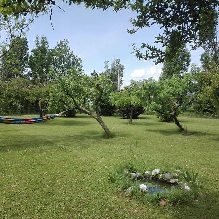 La Vie En Rose Bed and Breakfast Buia Εξωτερικό φωτογραφία