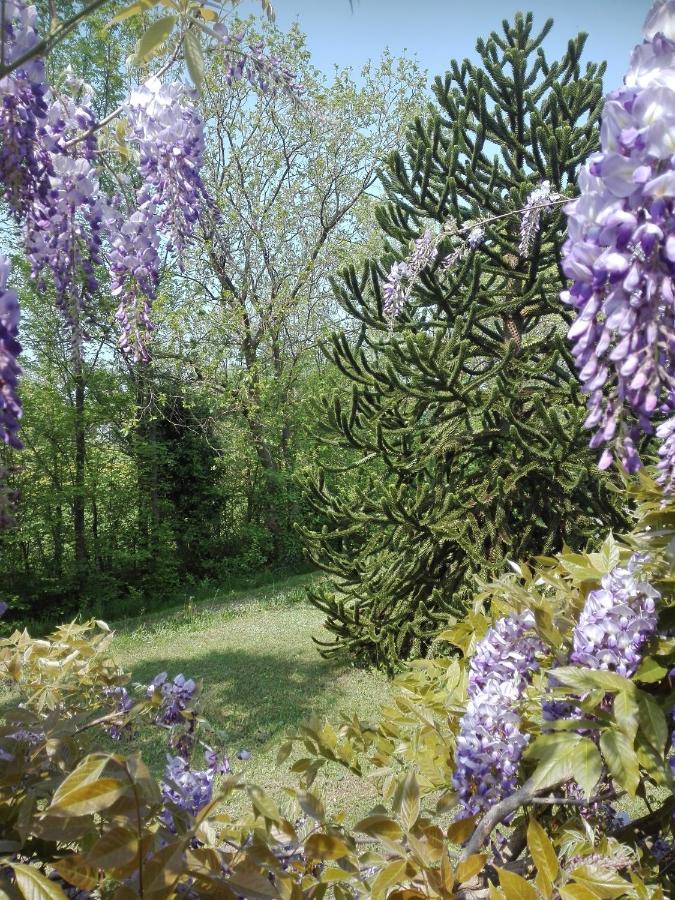 La Vie En Rose Bed and Breakfast Buia Εξωτερικό φωτογραφία